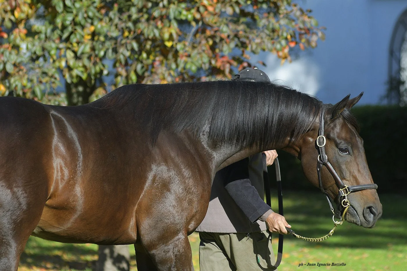 Springdom IMG_1065.JPG