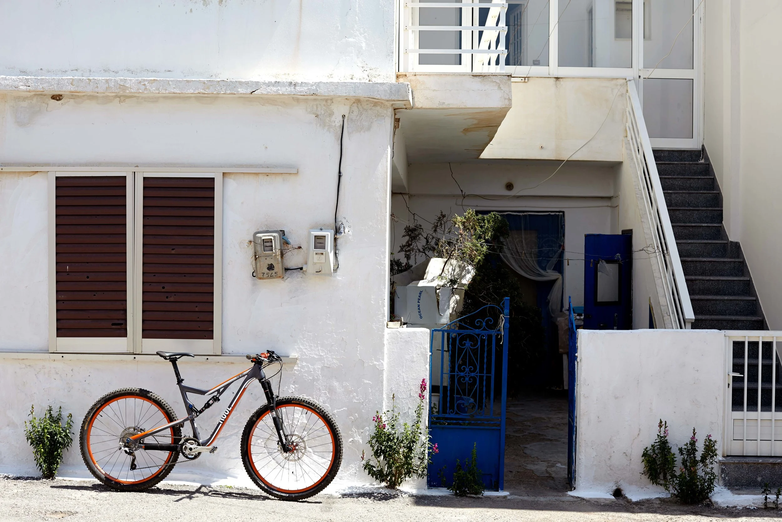 Rose_Kreta_Tag_2_461.jpg