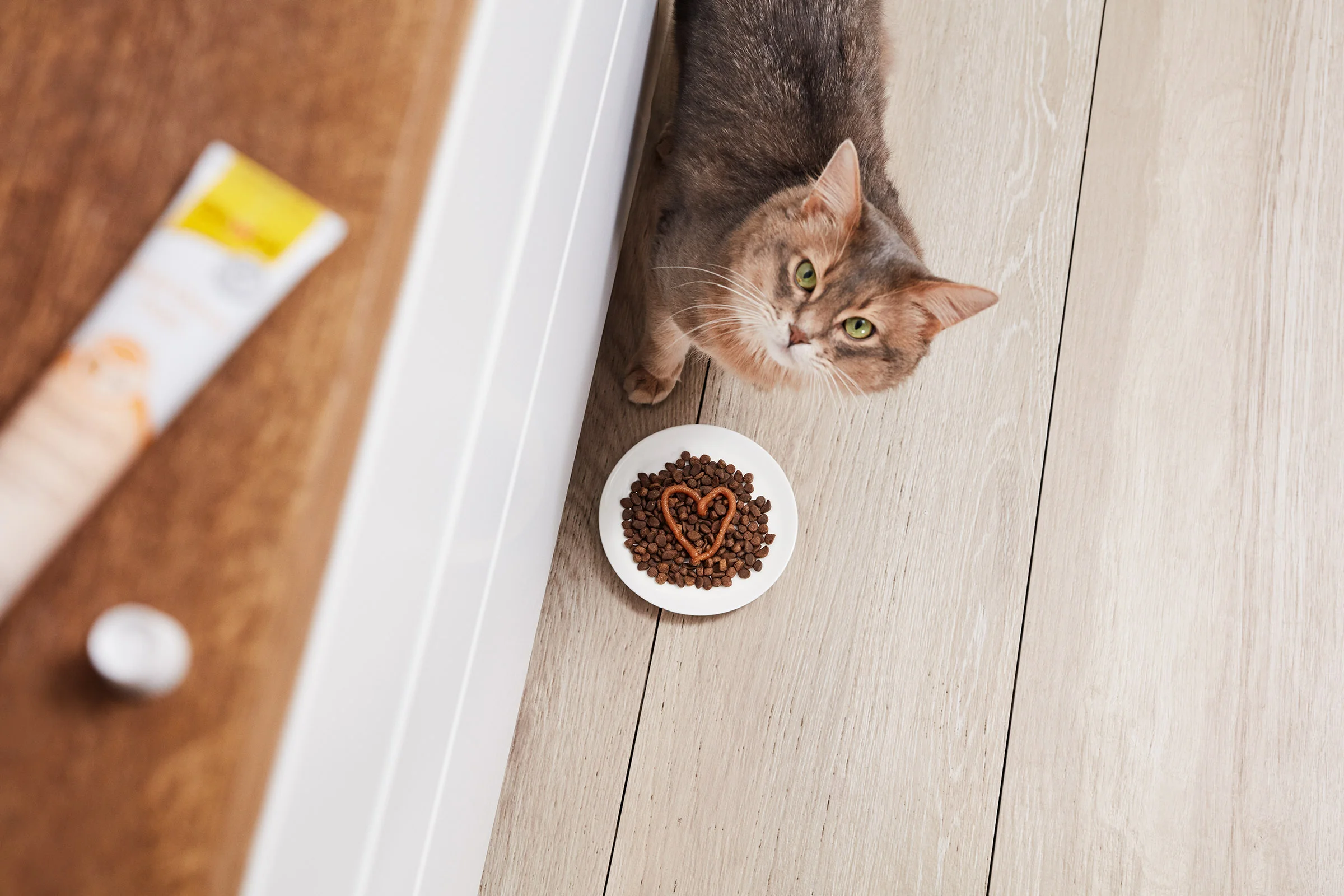 GimCat_07_Napf_Multi_Vitamin_V2_LoRes.jpg