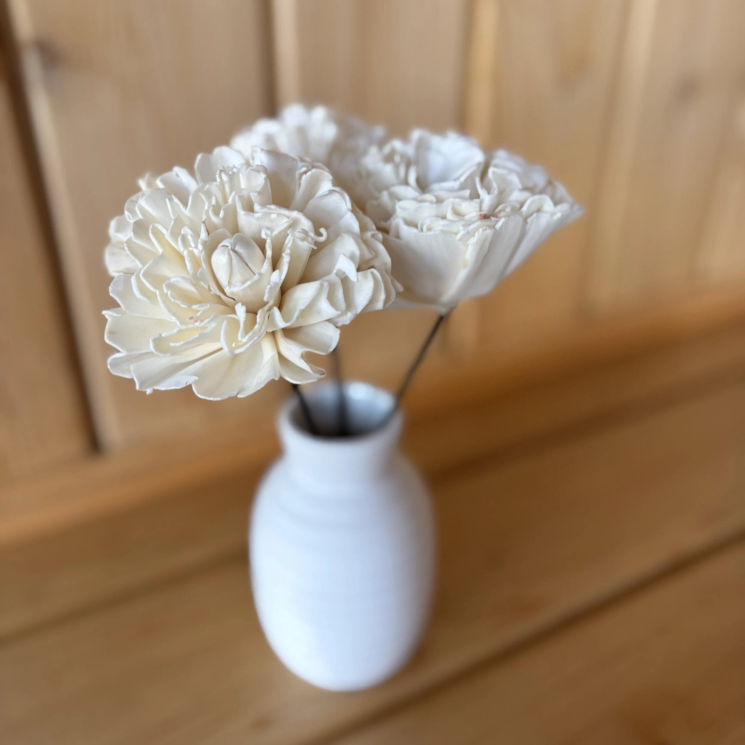Craft Cocktail - Sola Paper Flower Diffusers