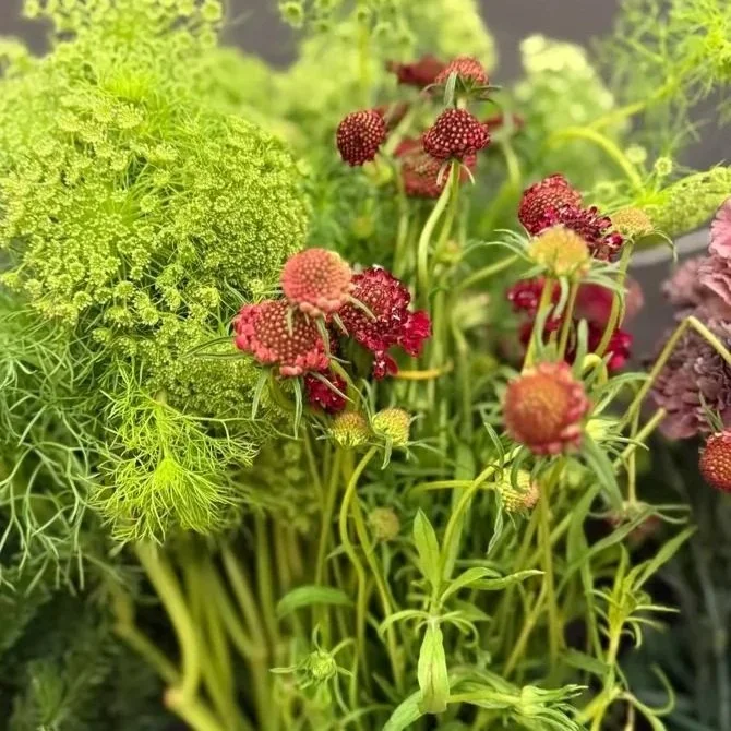 The Floral Workshop: Spring Floral Centerpieces