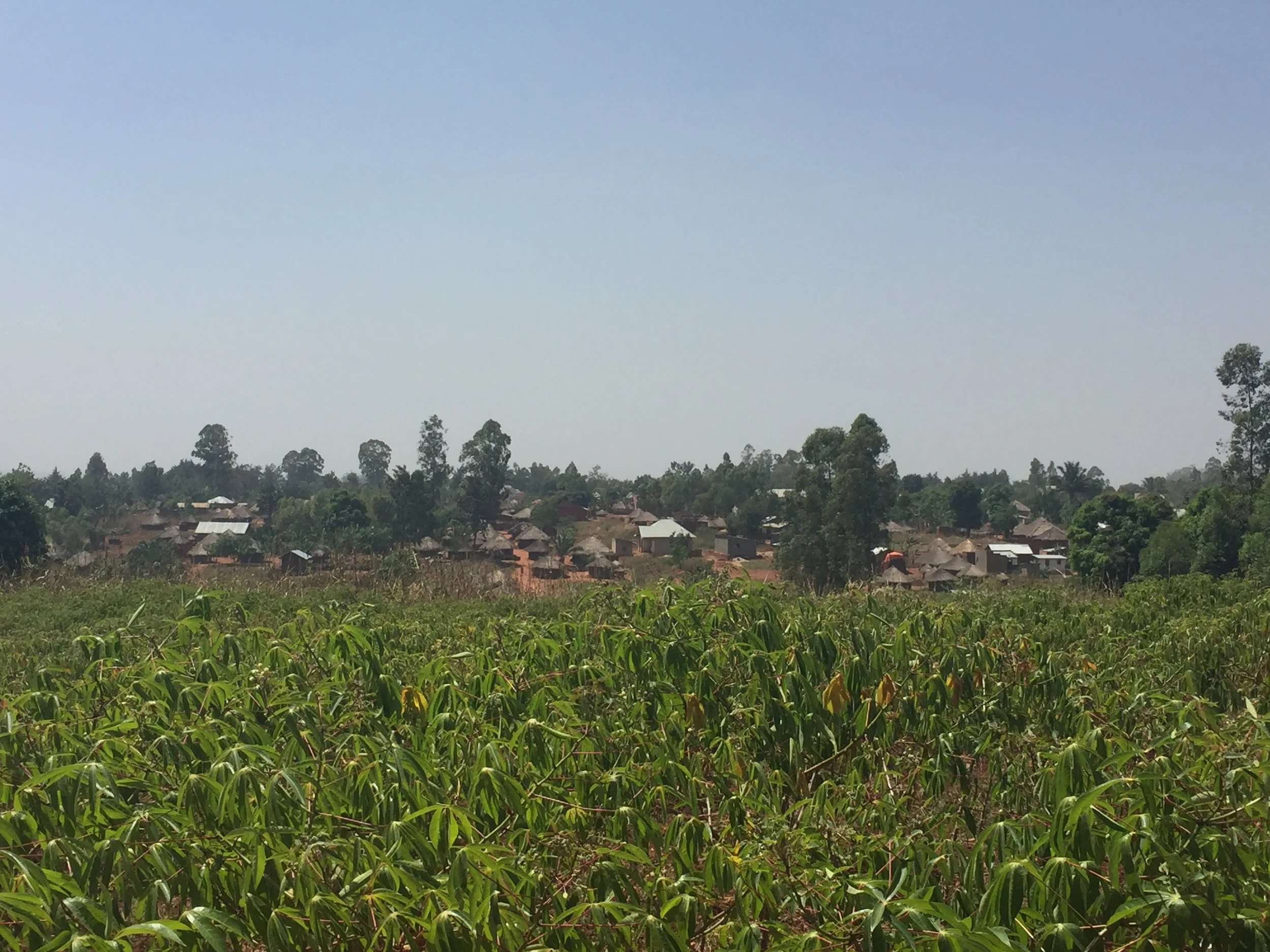 Blog #24 | A Tidal Wave