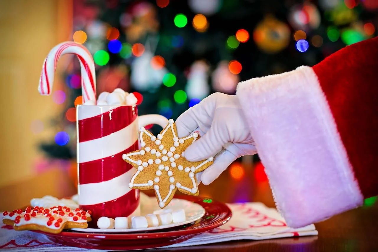 WOODLAND SPRINGS CHRISTMAS HOLIDAY PARTY