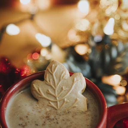 Woodland Springs Holiday Celebration Drop In