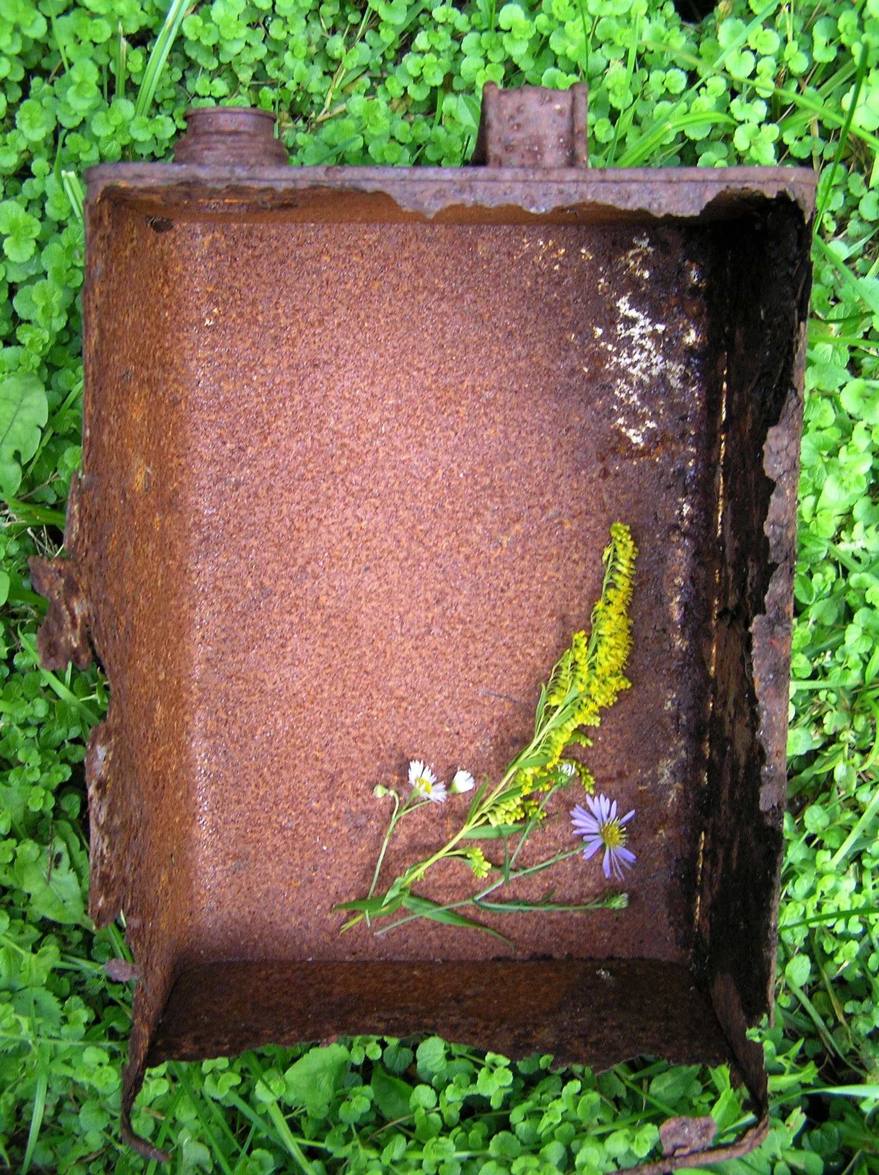 Arrangement in a Rusted Gas Can.jpg