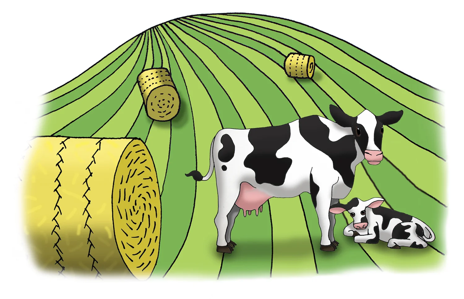 Cows in a Pasture.jpg