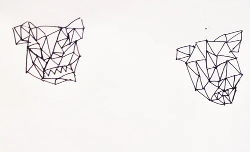 preliminary drawing