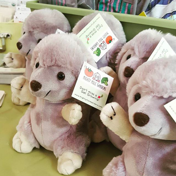 Screen Shot 2019-10-31 at 8.58.07 PM.png