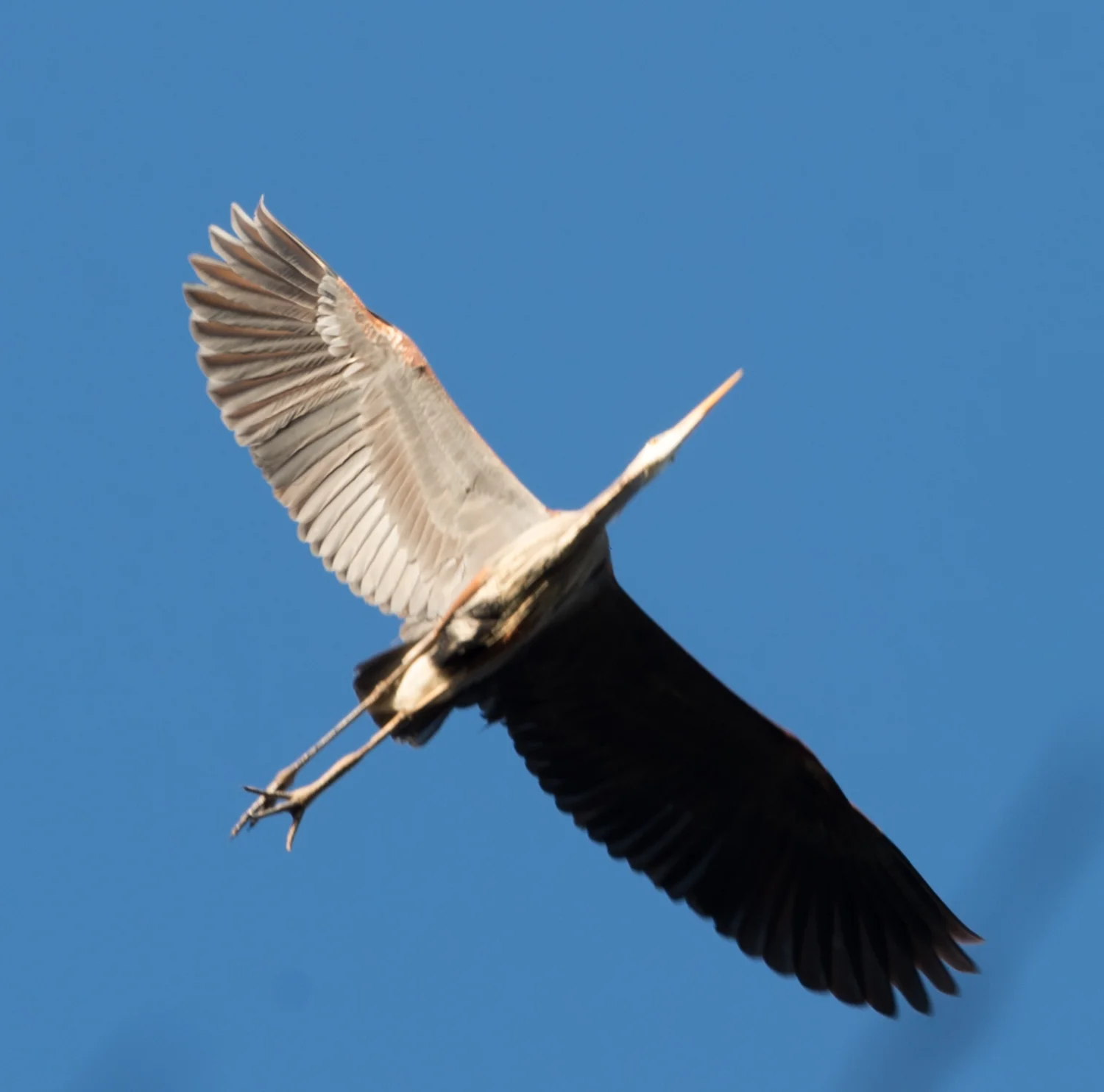 PHR_3488.jpg