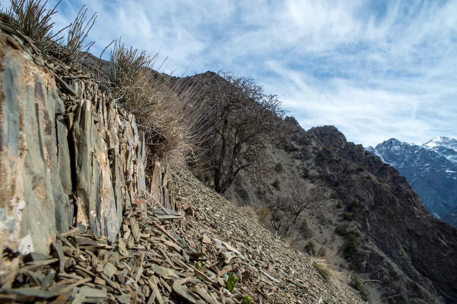 PHR_1497.jpg