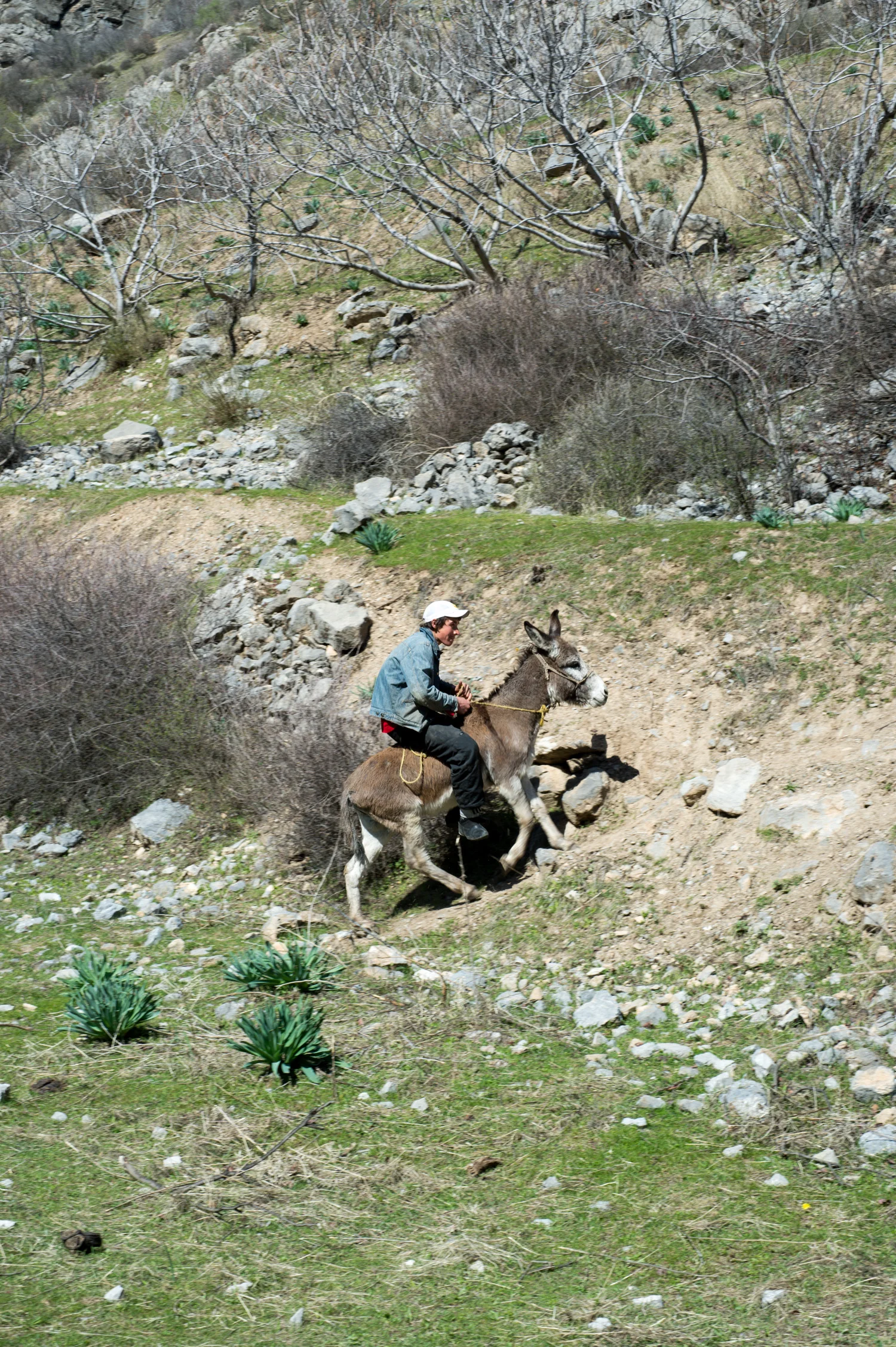 PHR_1788.jpg