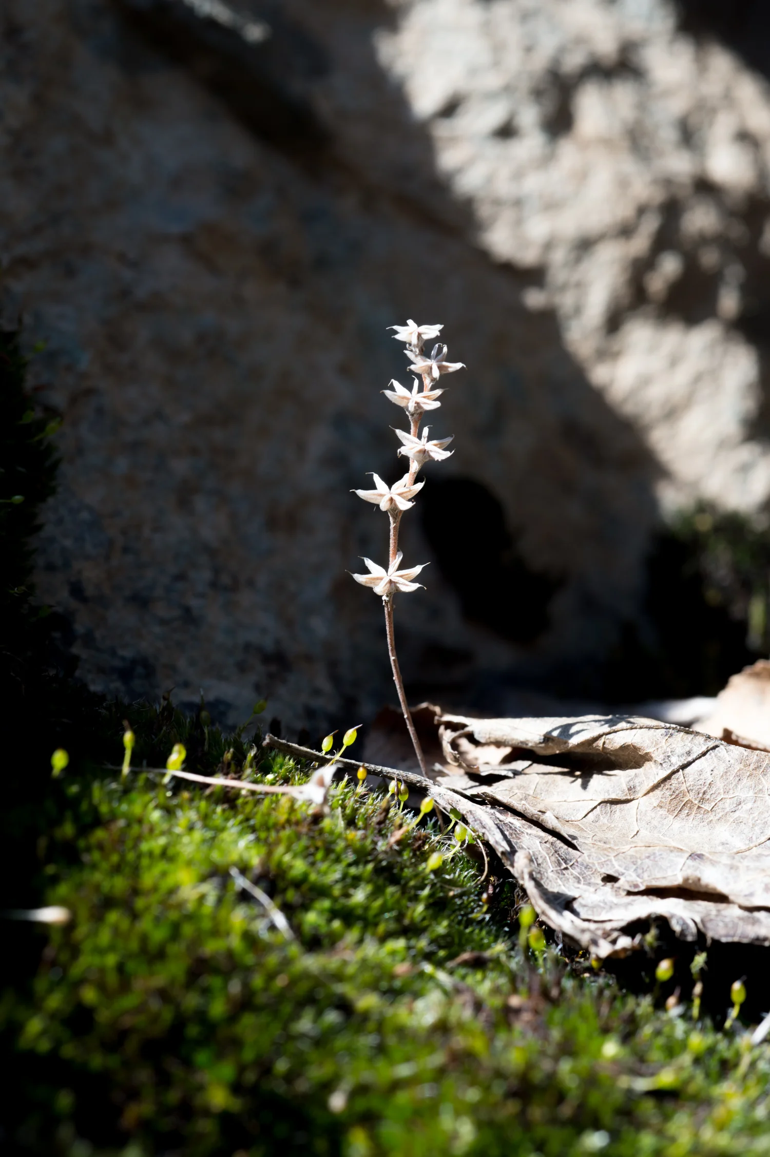 PHR_1172.jpg
