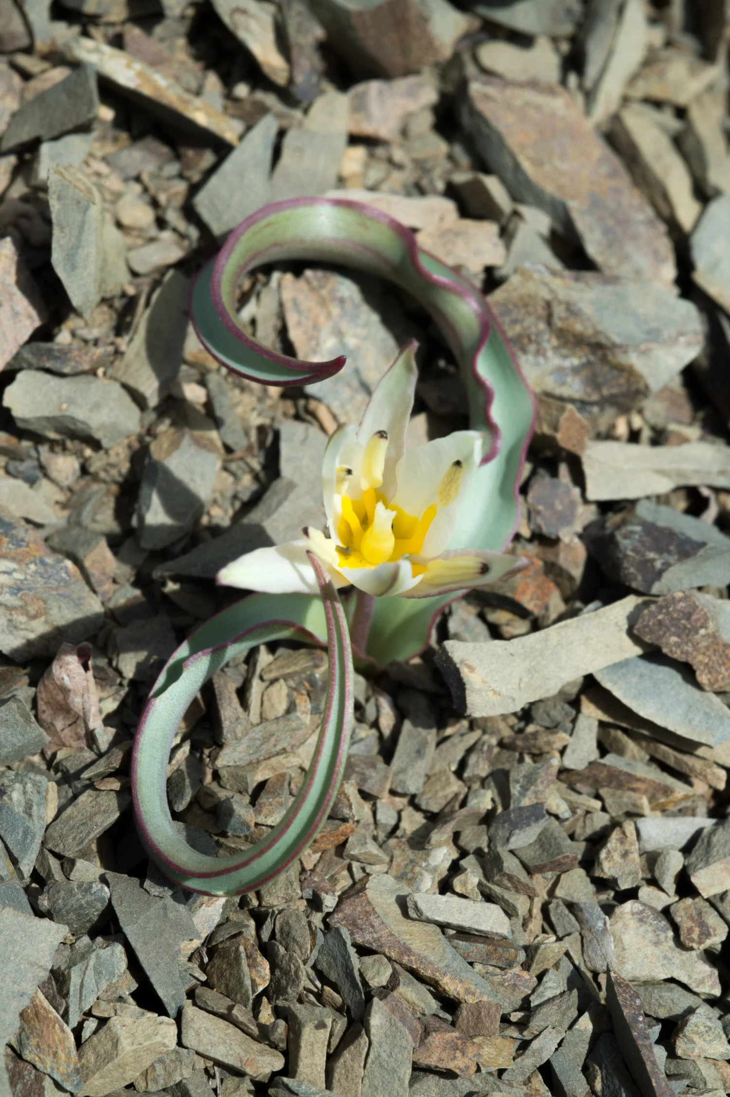 PHR_1491.jpg