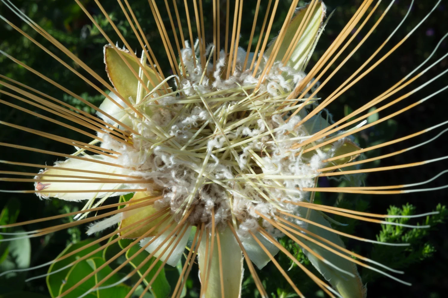 PHR_4557.jpg