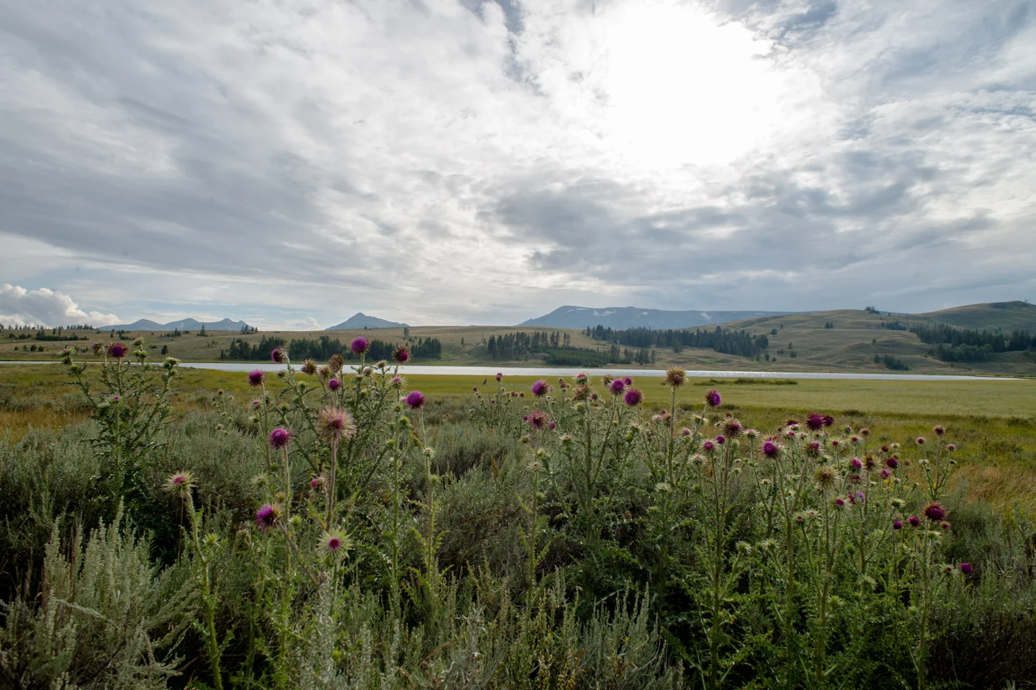 PHR_7737.jpg