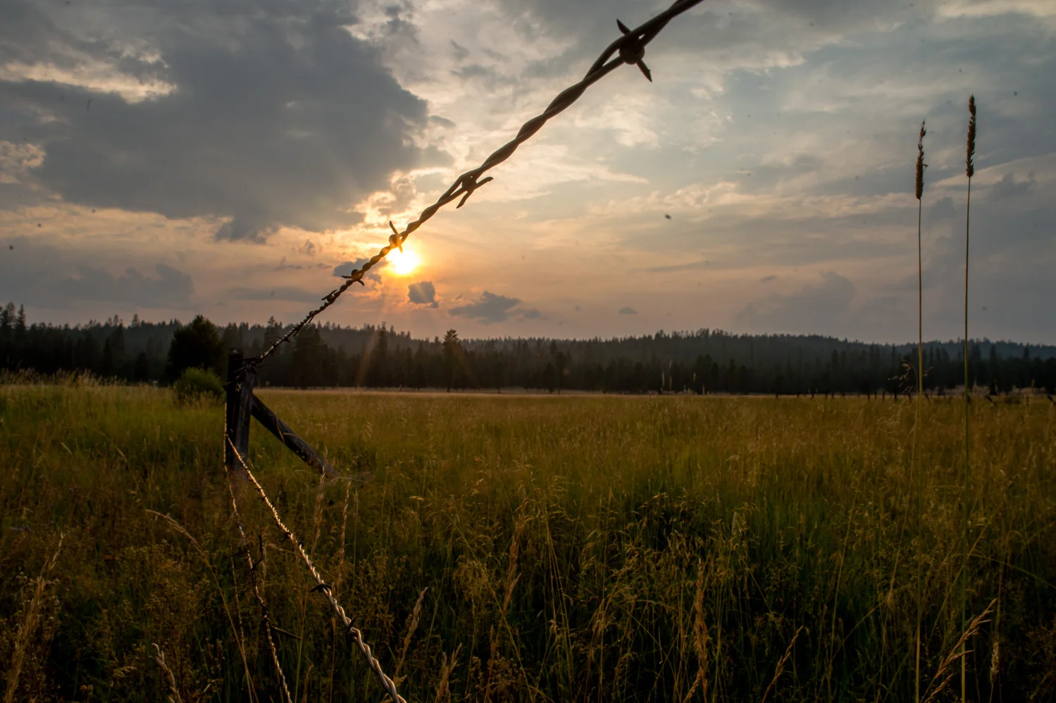 PHR_7331.jpg