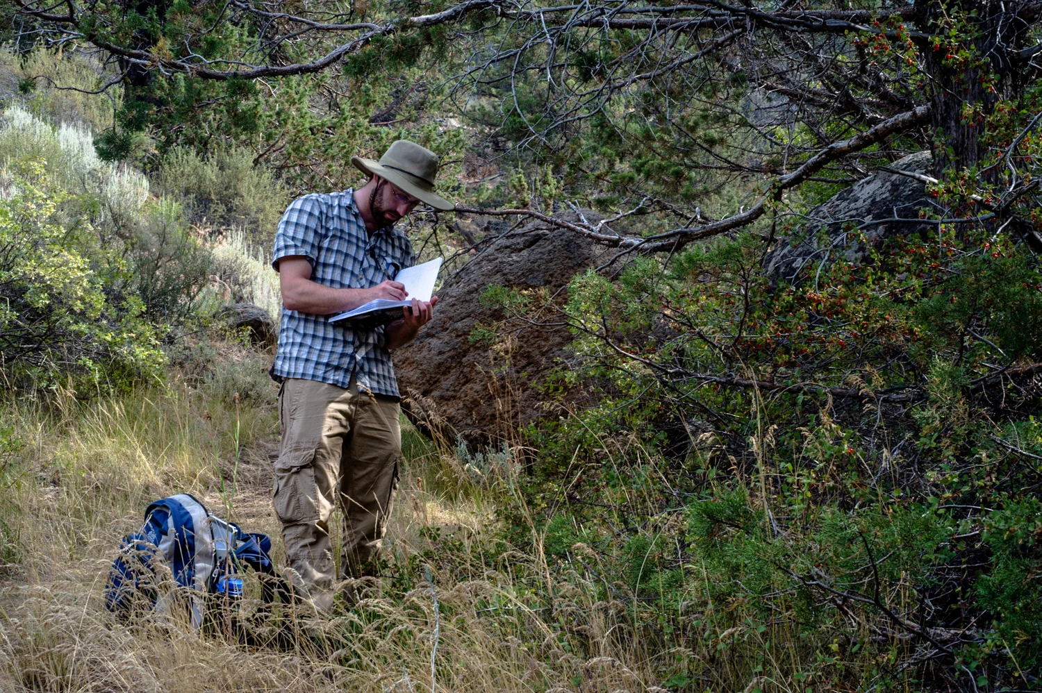 Dan Hulbert, Entomologist