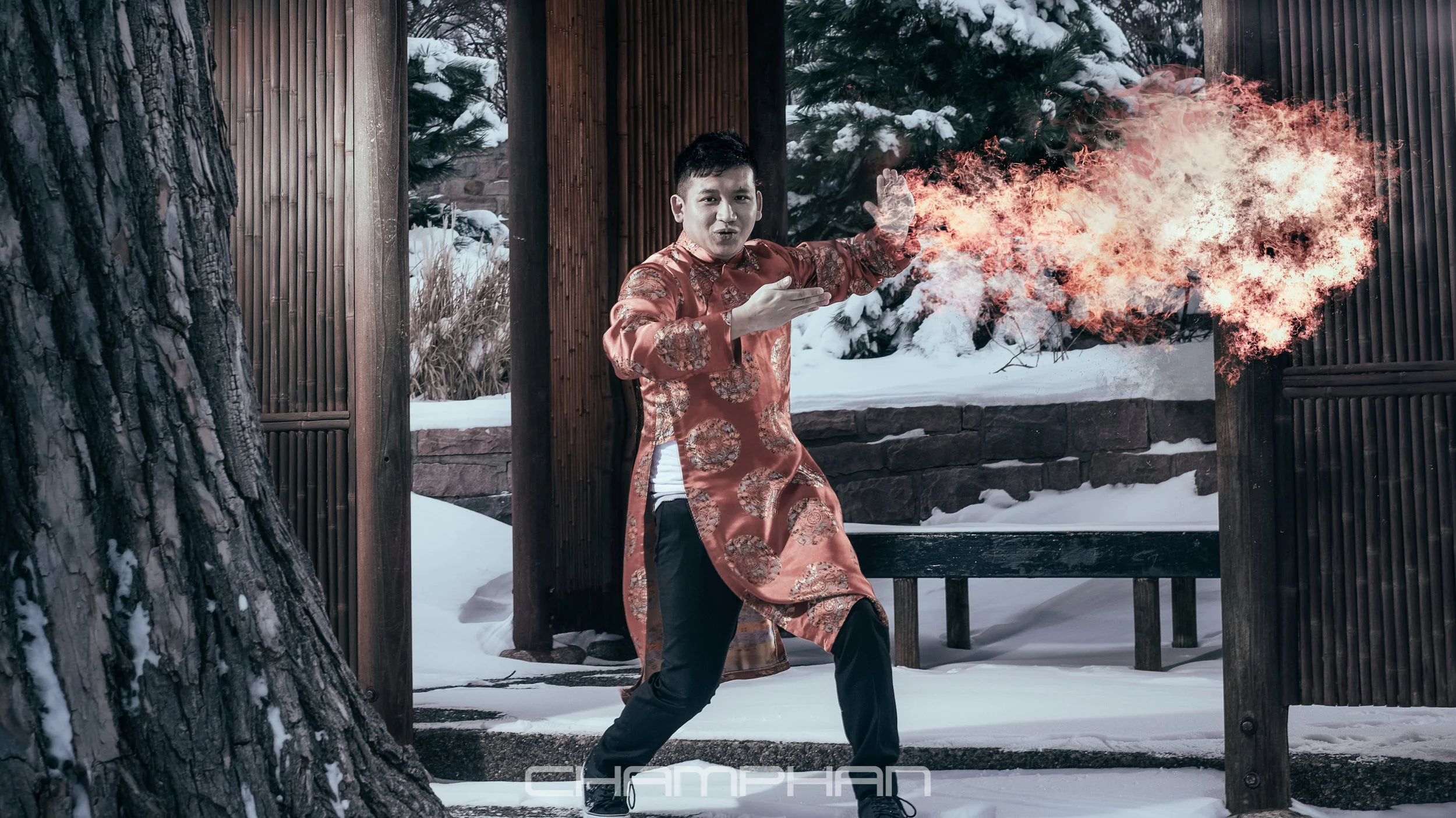 vince+fire+cock+final.jpg