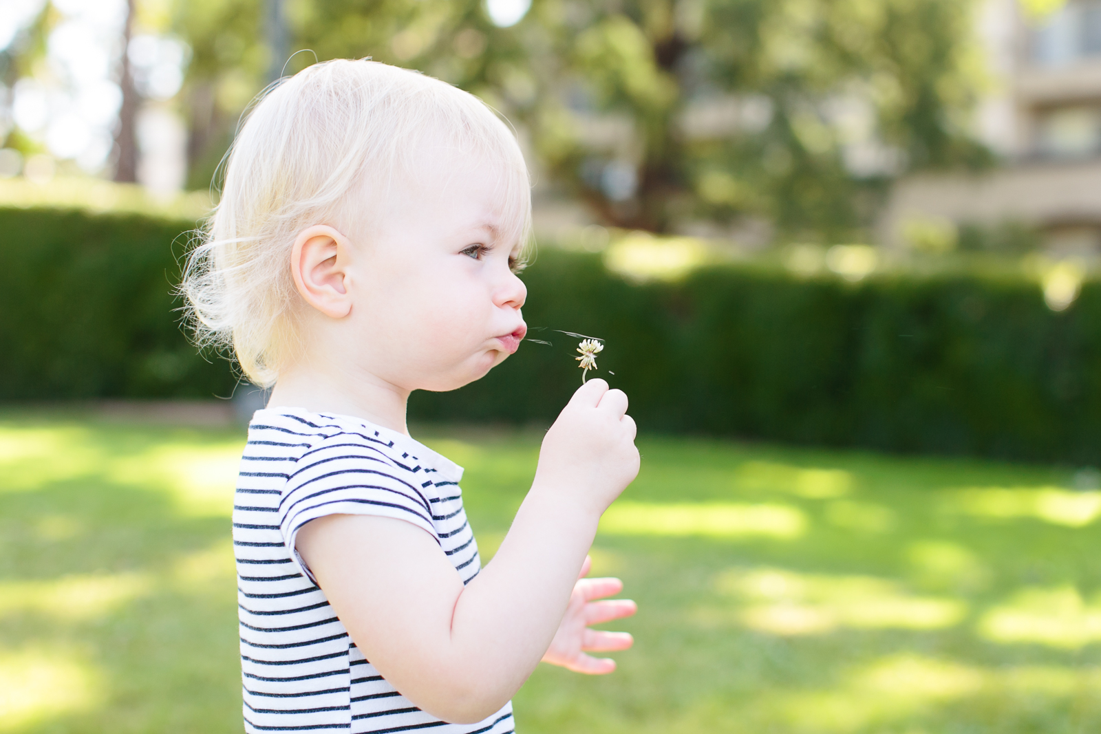 Los_Angeles_Family_Photographer-0789.jpg