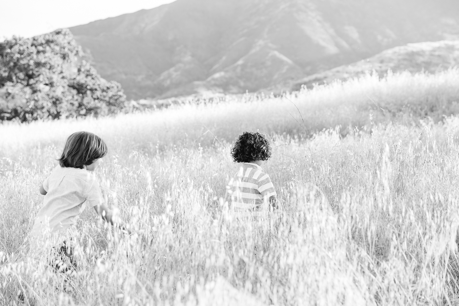 Los_Angeles_Family_Photographer-0223.jpg