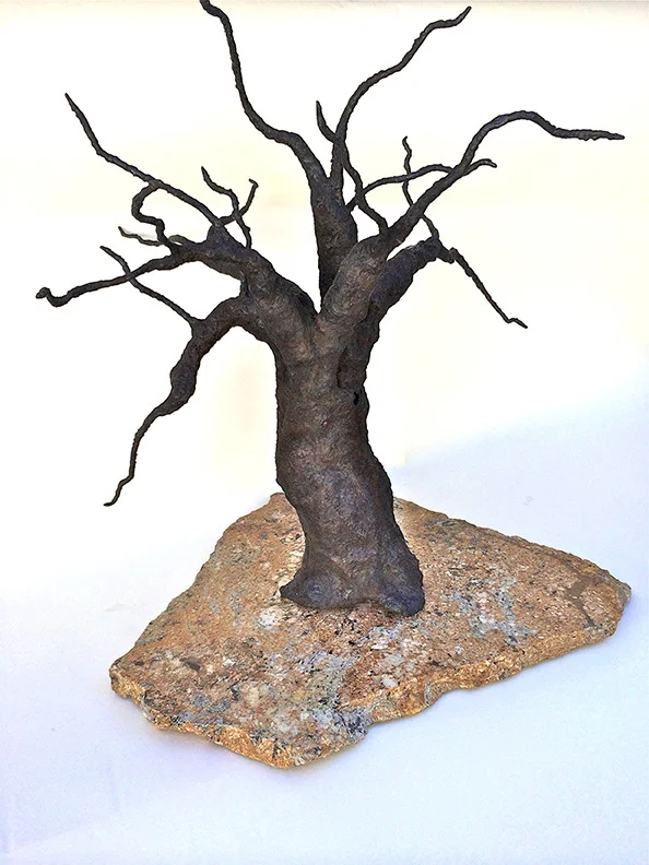 Majestic Valley Oak