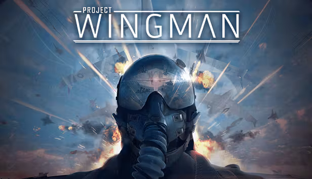 Project Wingman.png