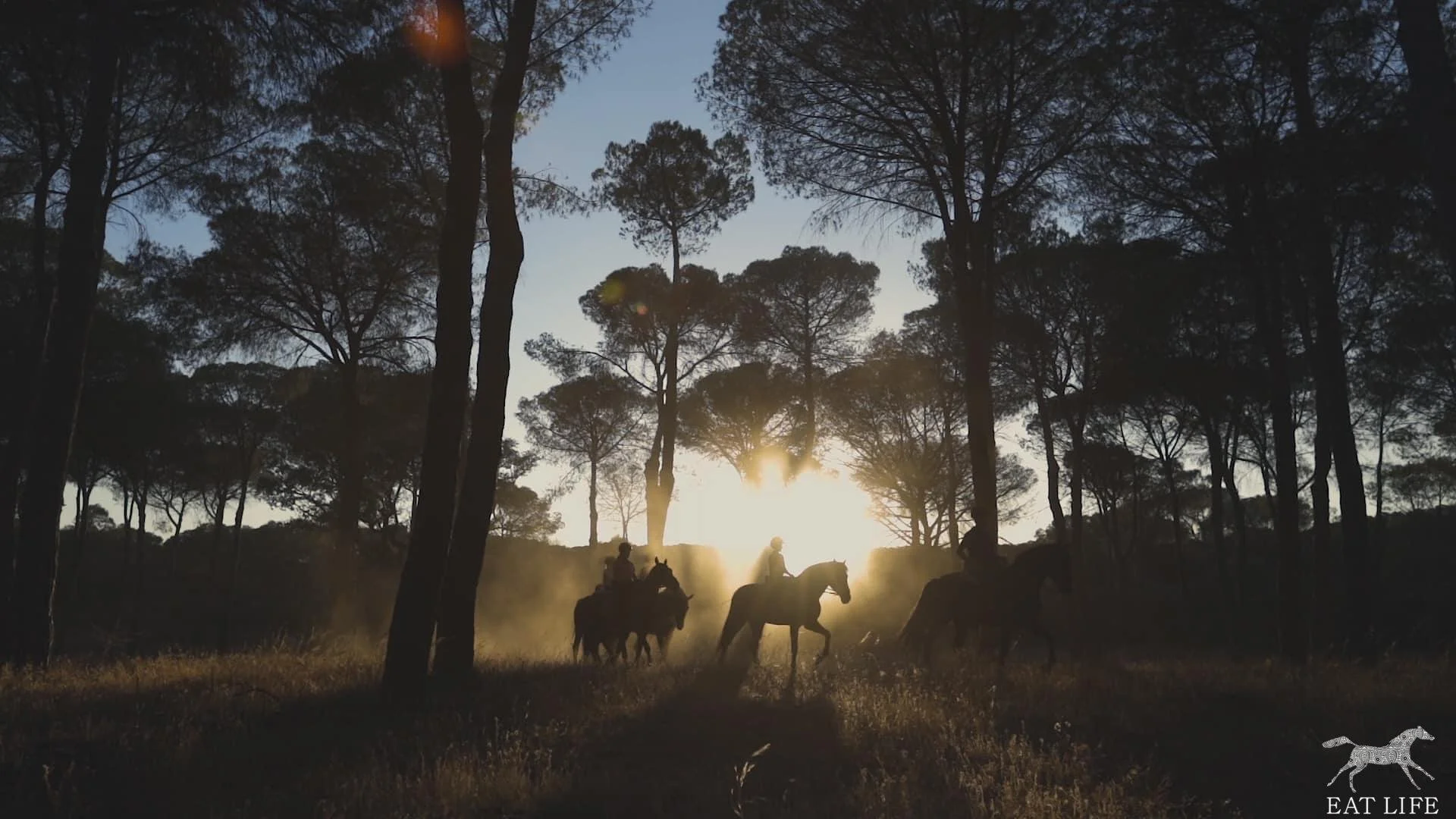 HORSE RALLY: Yoga in Harmony with Horses