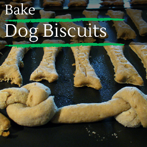 Bake Dog Biscuits
