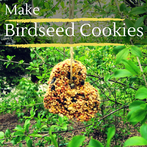 Make Birdseed Cookies