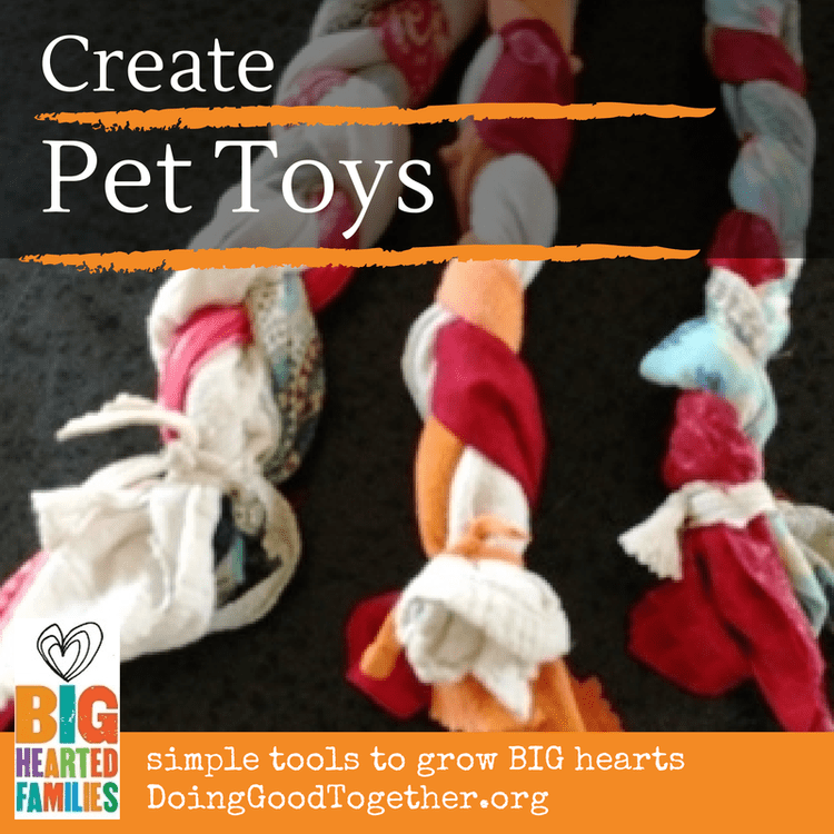 View of Create Pet Toys — Doing Good Together™