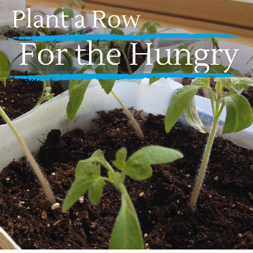 Plant a Row for the Hungry