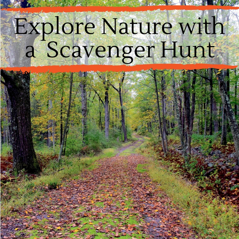 Explore Nature Scavenger Hunt 