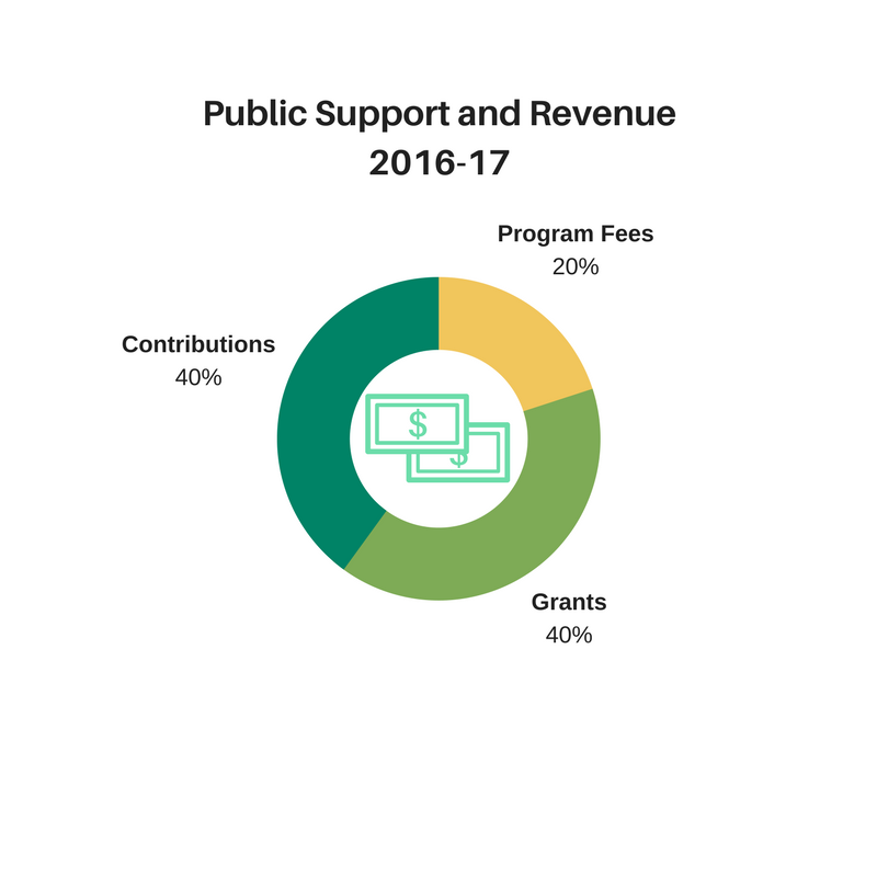 Income 2016-17.png