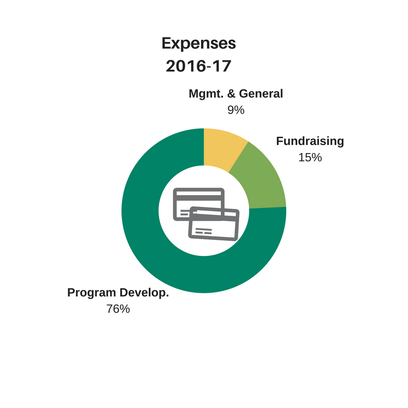 Expenses 2016-17.png