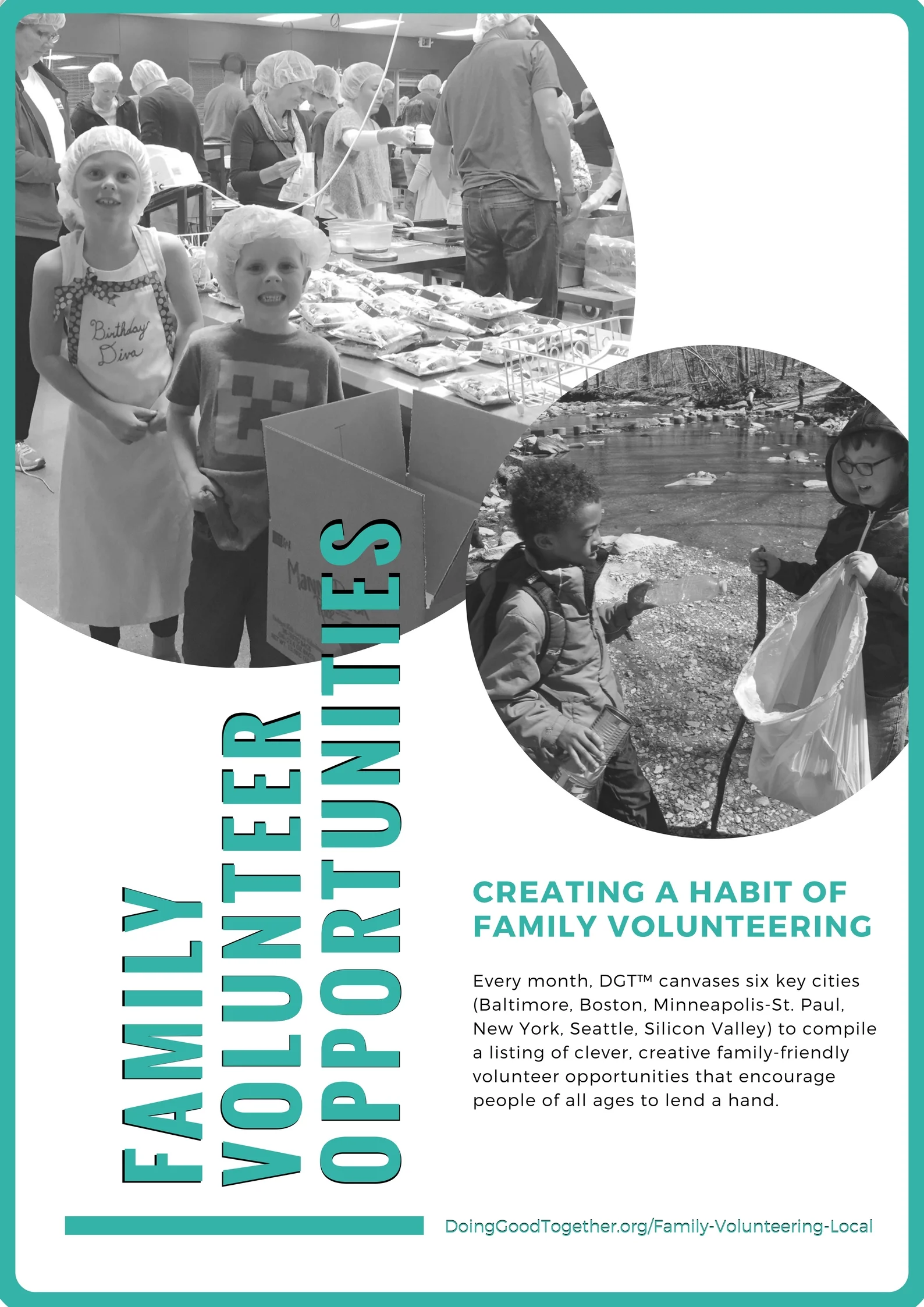 Fam Volunteer Event Poster 2017.jpg