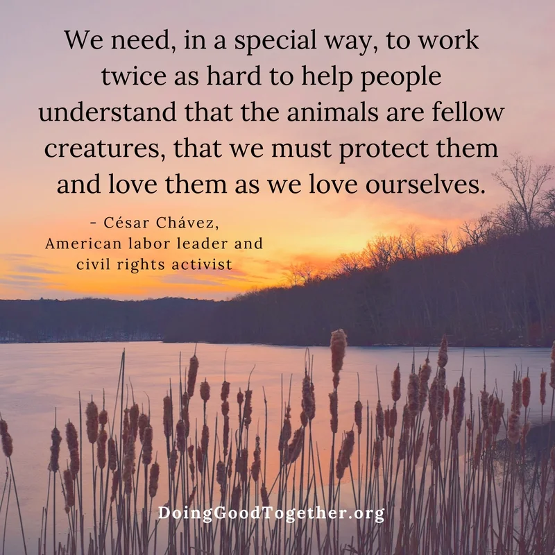 animal quotes.jpg