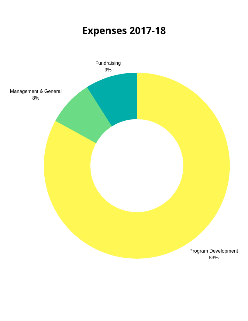 Expenses 2017-18.png