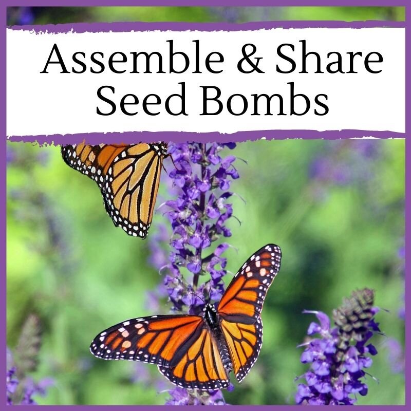 Assemble, share seed bombs (1).jpg