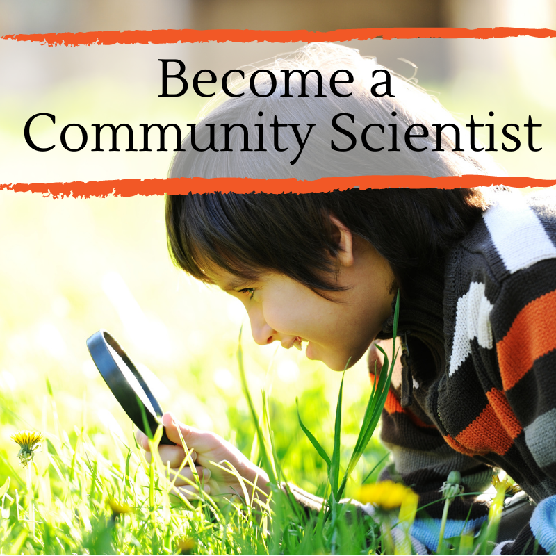 Become a Community Scientist