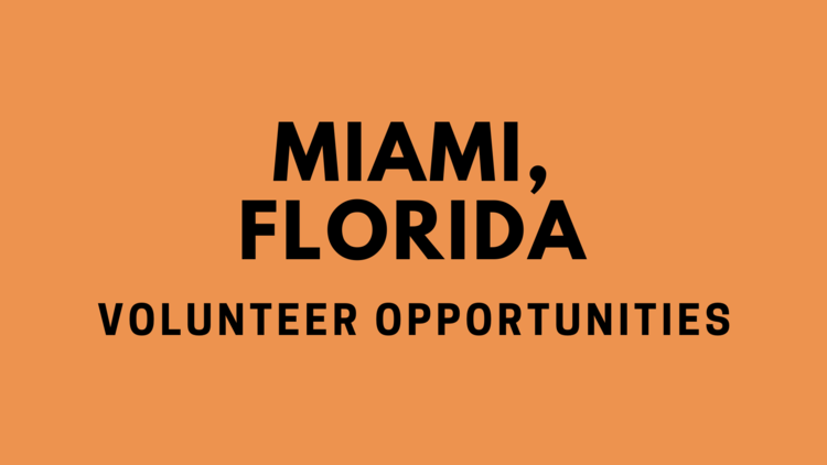 Volunteer in Miami