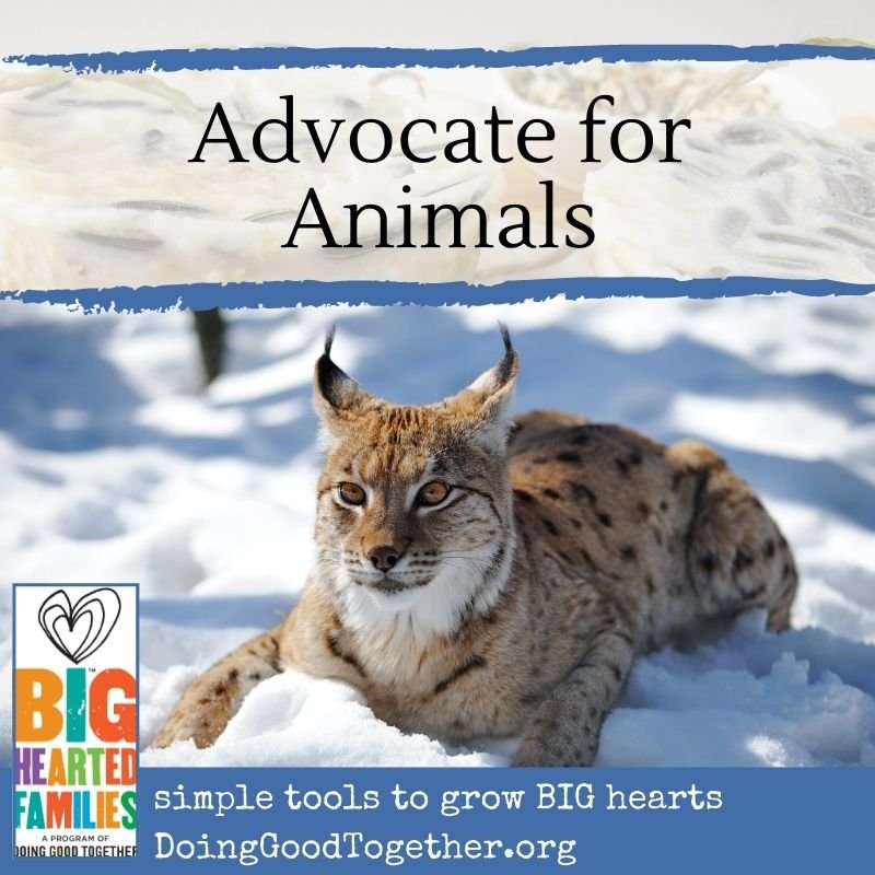 Advocate for Animals — Doing Good Together™