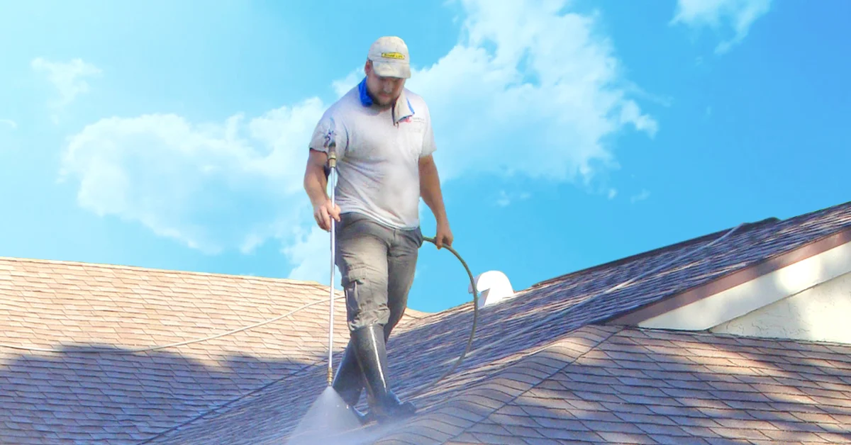 Our Semi-Annual Stain Prevention Service