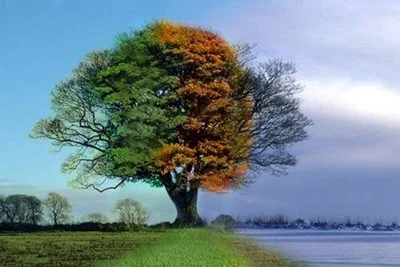 fourseasons7.jpg