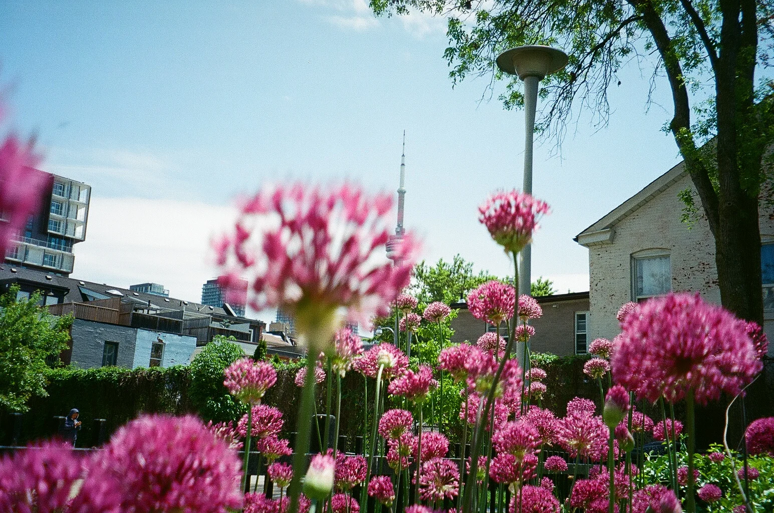 97230035.jpg