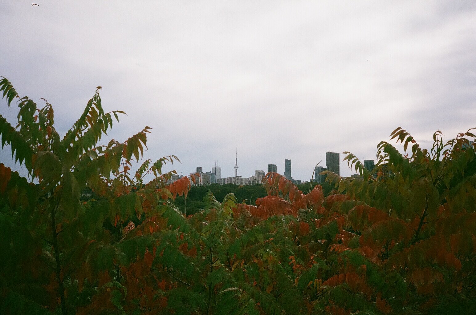 86820005.jpg