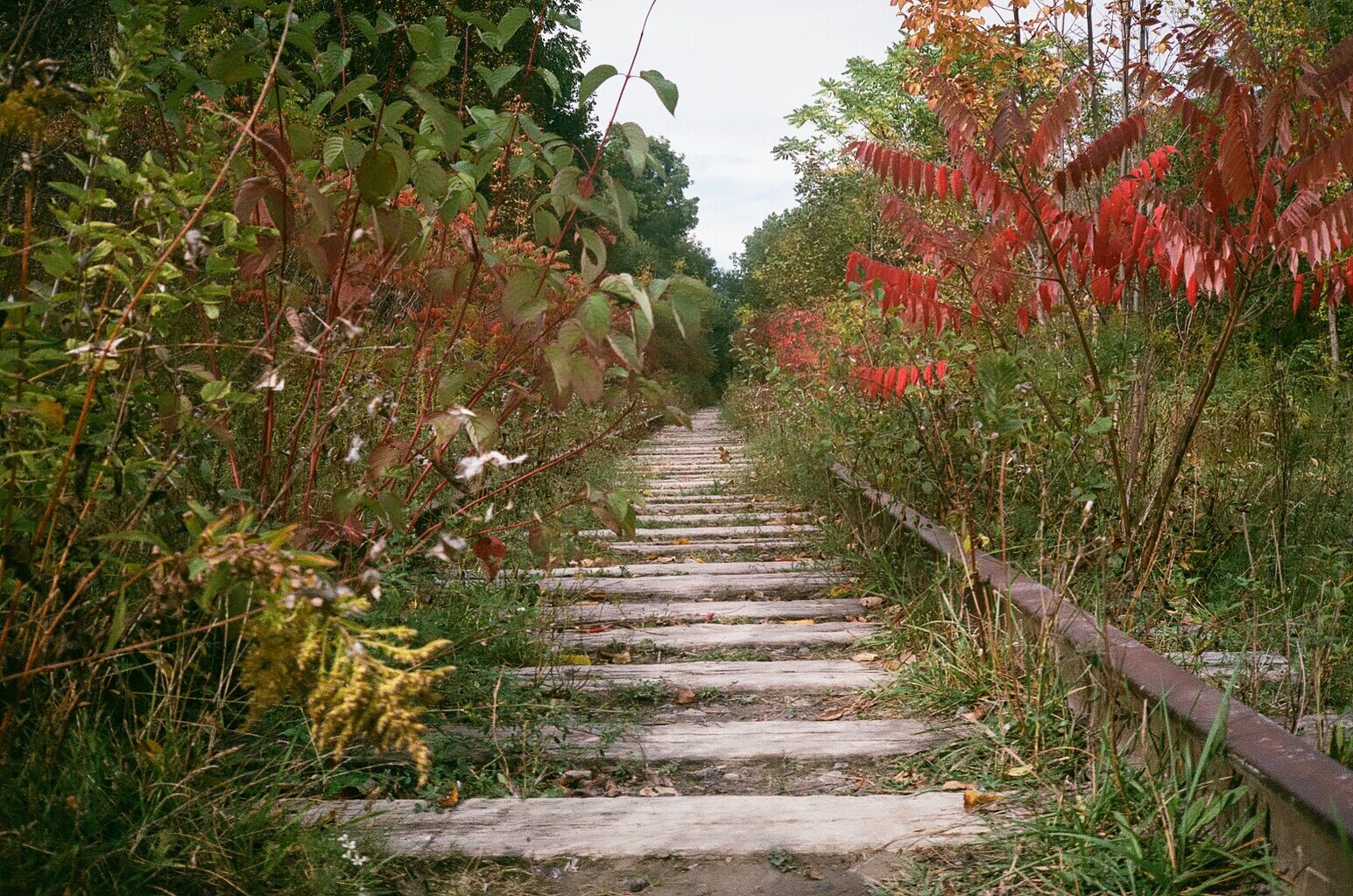 86820008.jpg