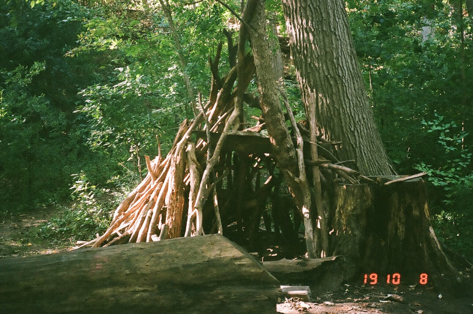 86820015.jpg