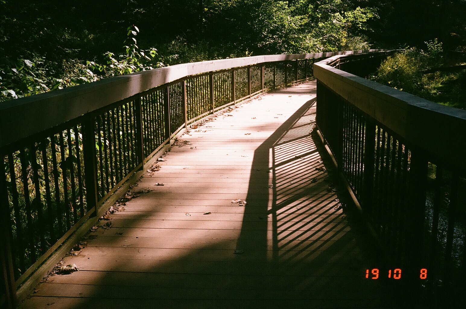 86820016.jpg