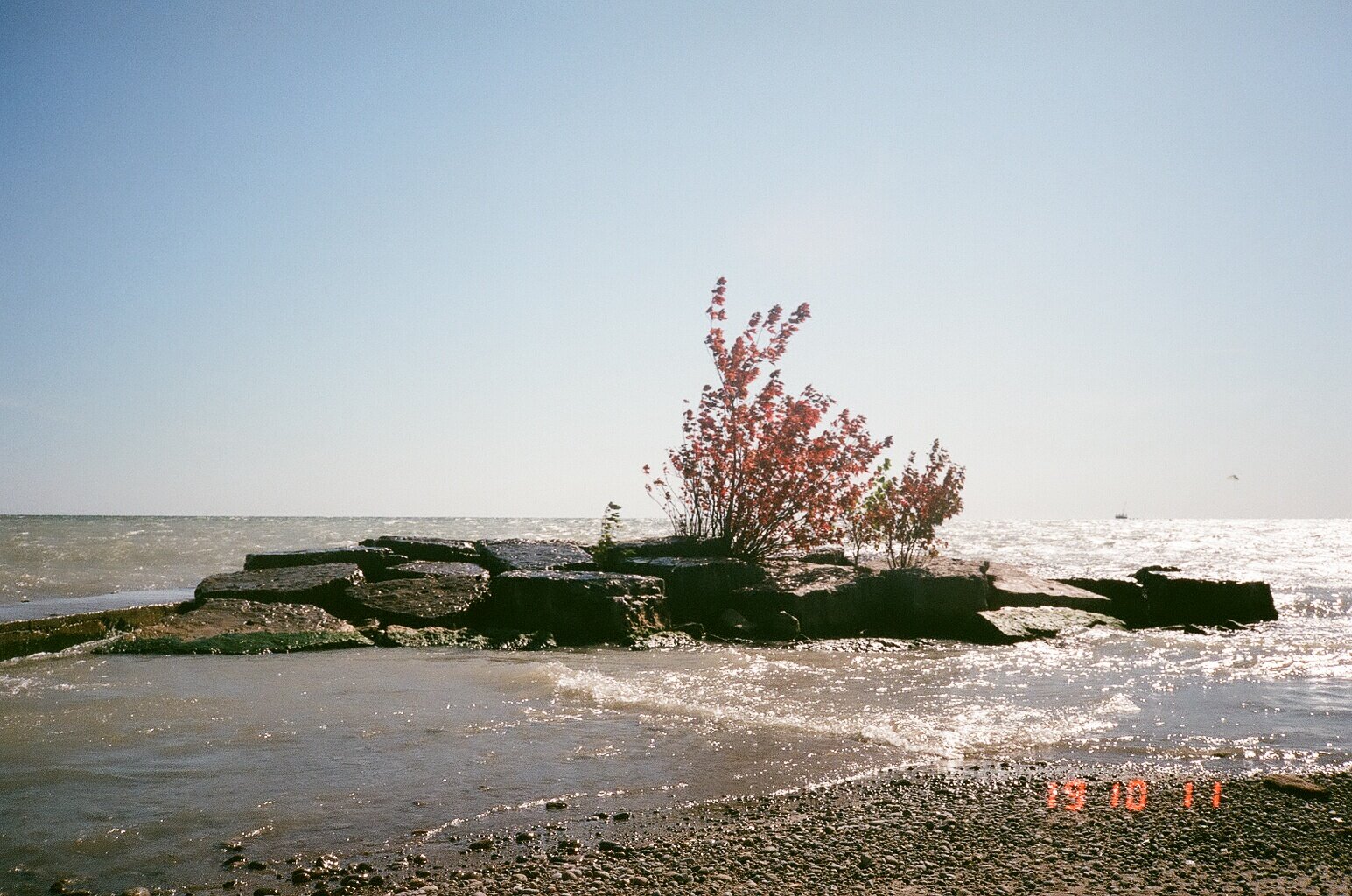 86820017.jpg