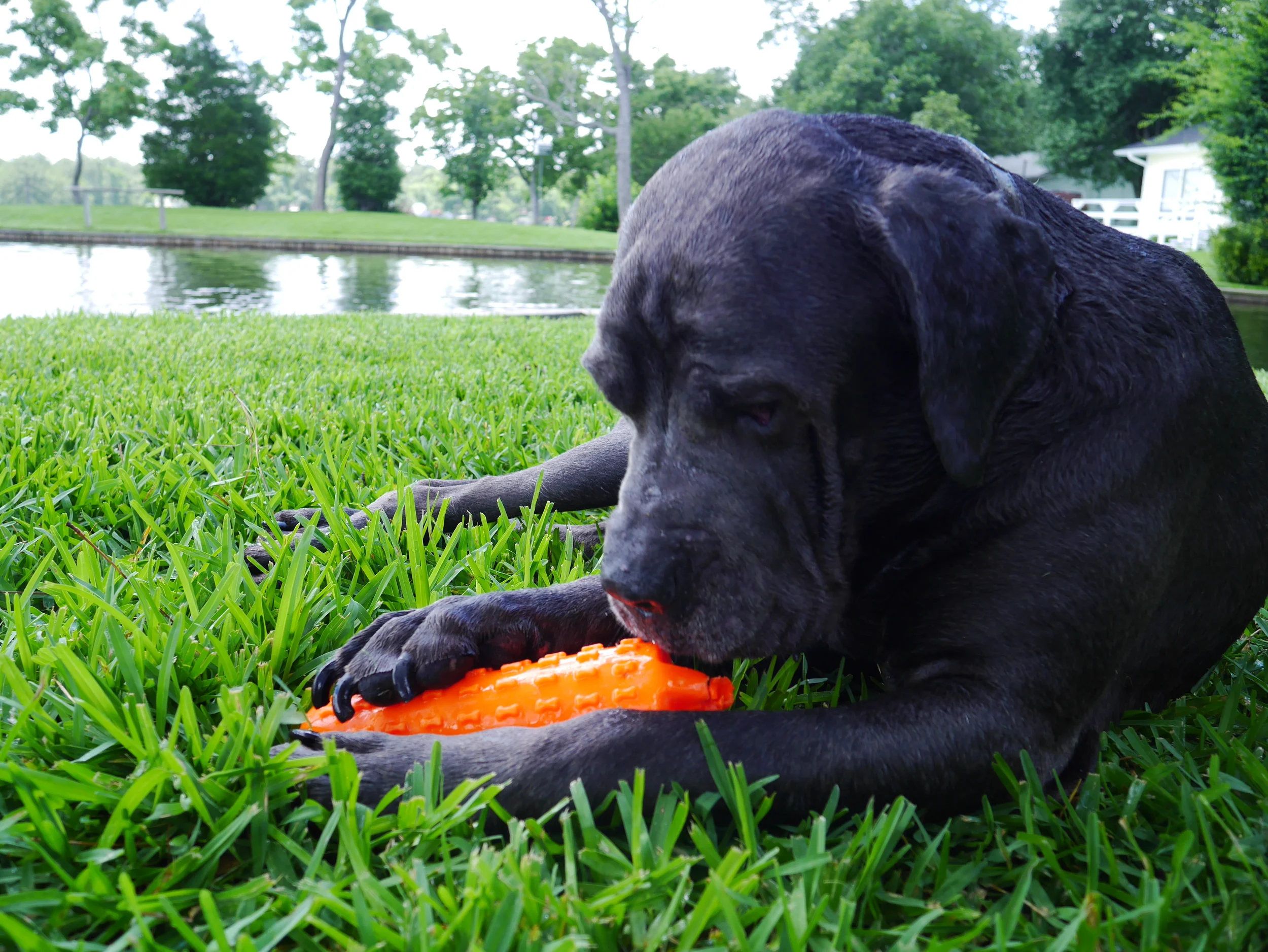 Gwen loves the water too